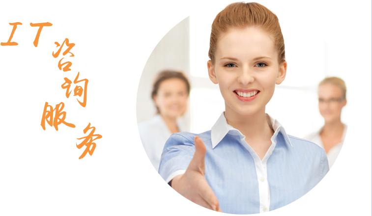 it咨询服务